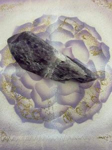 Amethyst Point with Root #1