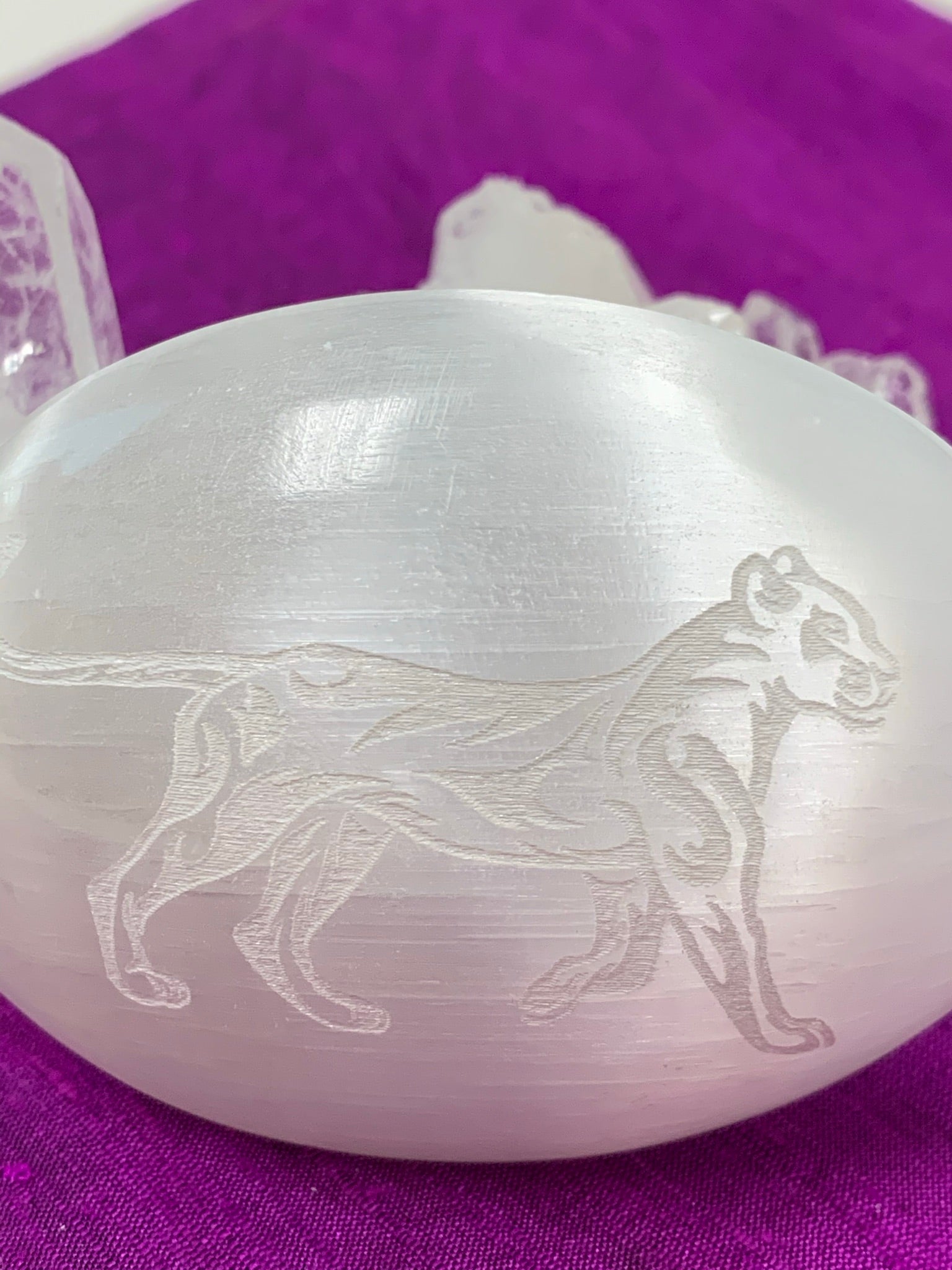 Close up view of the lioness etched on a white, polished selenite palm stone from our spirit animal collection. Lioness embodies the goddess & divine feminine and is related to The Great Mother. She is also seen as a protector, provider and as resourceful. She is the nurturer and fierce protector. The selenite ranges from translucent to milky white depending on the stone. Selenite is sourced ethically and workers are paid living wages.