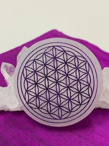 Close-up view. Flower of life etched on smooth, white, 3" selenite plate/disk. The selenite ranges from Translucent to milky white in color. This plate can be used for charging your crystals and jewelry. The etched flower of life, painted, purple on this plate symbolizes (among other things) unity of all things, creation and the Universe. Average weight is 4.9 oz, size is approximately 3" in diameter and about ½" thick. The selenite is ethically sourced and workers receive living wages.