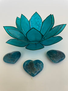 View of several hearts. Love this blue apatite heart! Great to carry in your pocket, place on your altar or bookshelf or to hold during meditation. Apatite enhances manifestation, aids psychic abilities and meditation, helps you to express yourself verbally, aids in reaching high levels of spiritual guidance, boosts creativity and helps to ease anger and irritation (along with other wonderful qualities). The apatite heart is approximately 1¼" at it's widest/longest expanse. Cost is $6